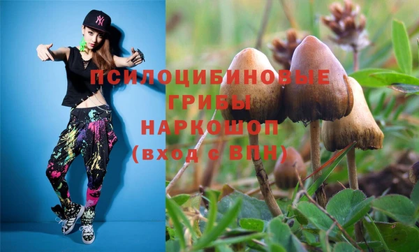 экстази Алексин