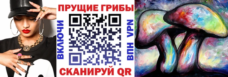 купить наркоту  Ладушкин  Галлюциногенные грибы прущие грибы 